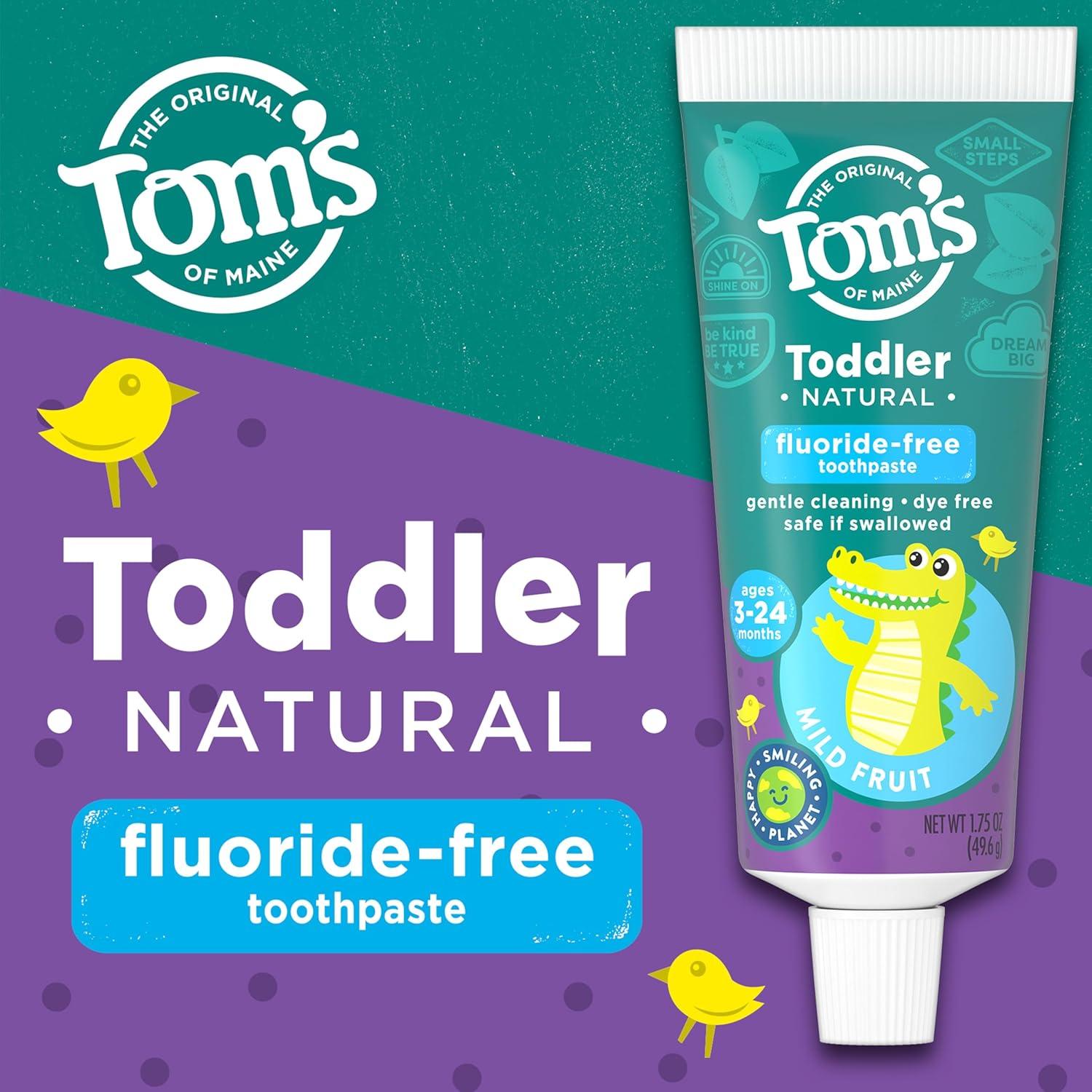 image:imageToms of Maine FluorideFree Toddler Training Toothpaste Mild Fruit 175 oz 3Pack Packaging May Vary