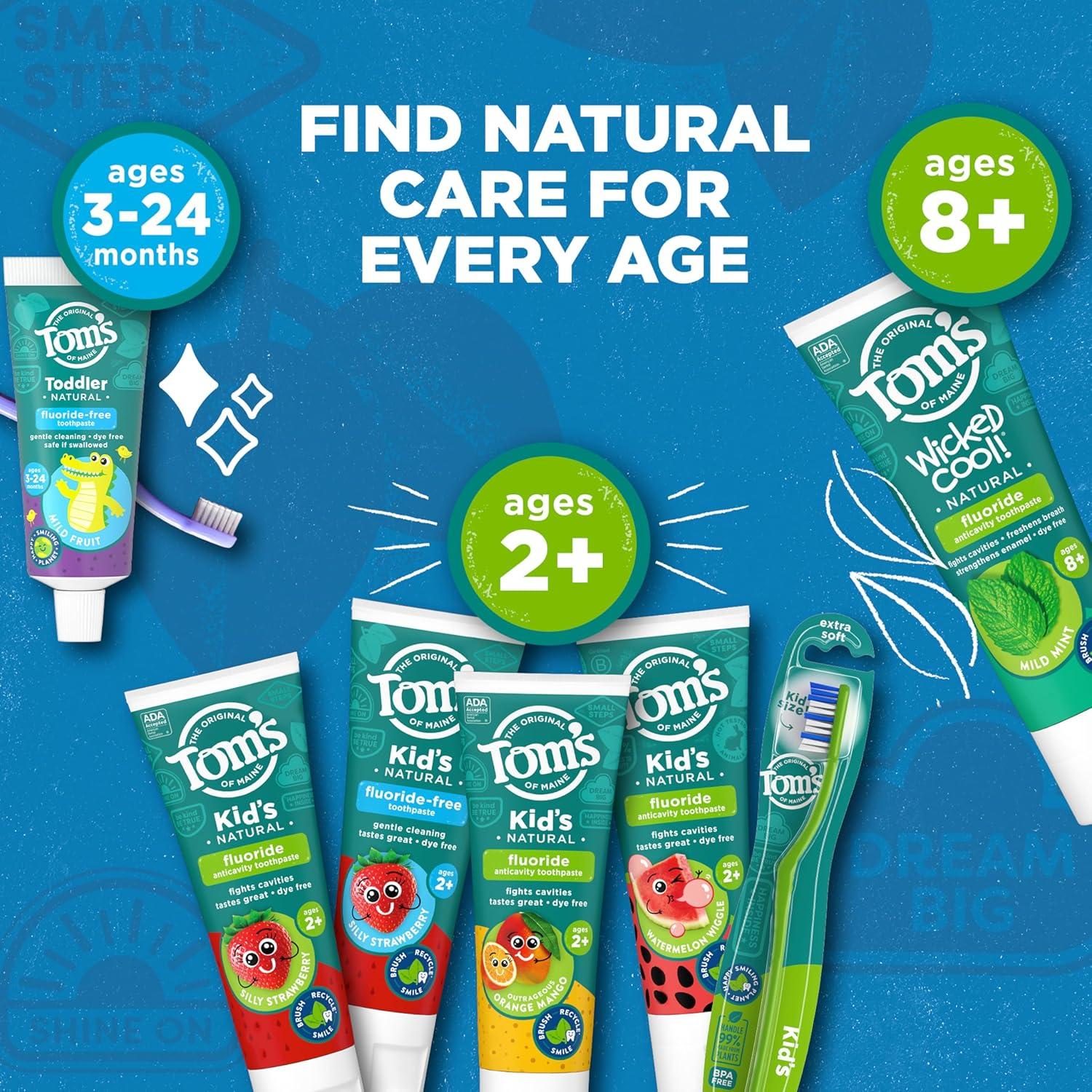 image:imageToms of Maine FluorideFree Toddler Training Toothpaste Mild Fruit 175 oz 3Pack Packaging May Vary