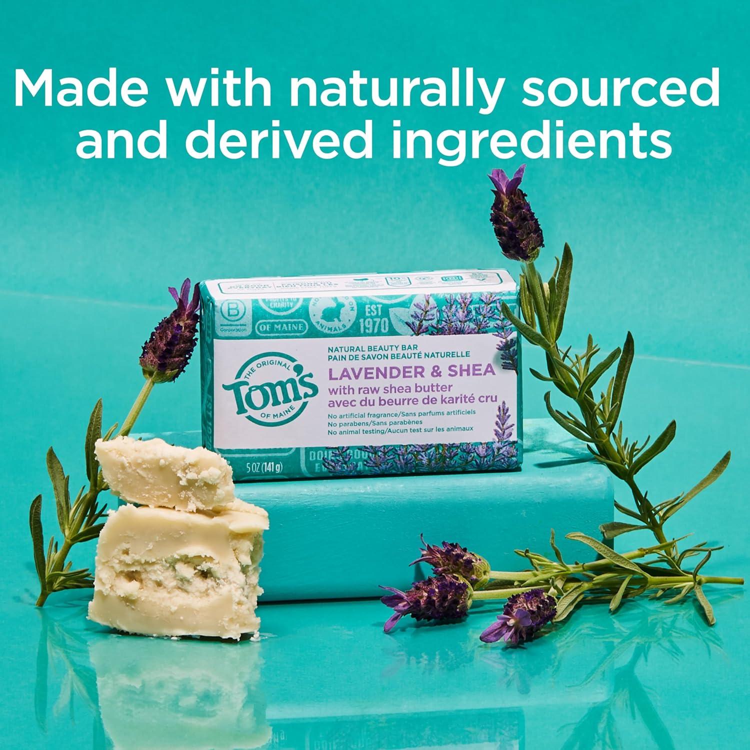 image:imageToms of Maine Natural Beauty Bar Soap Creamy Coconut With Virgin Coconut Oil 5 oz 6Pack Packaging May VaryLavender