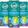 image:imageToms of Maine FluorideFree Toddler Training Toothpaste Mild Fruit 175 oz 3Pack Packaging May Vary